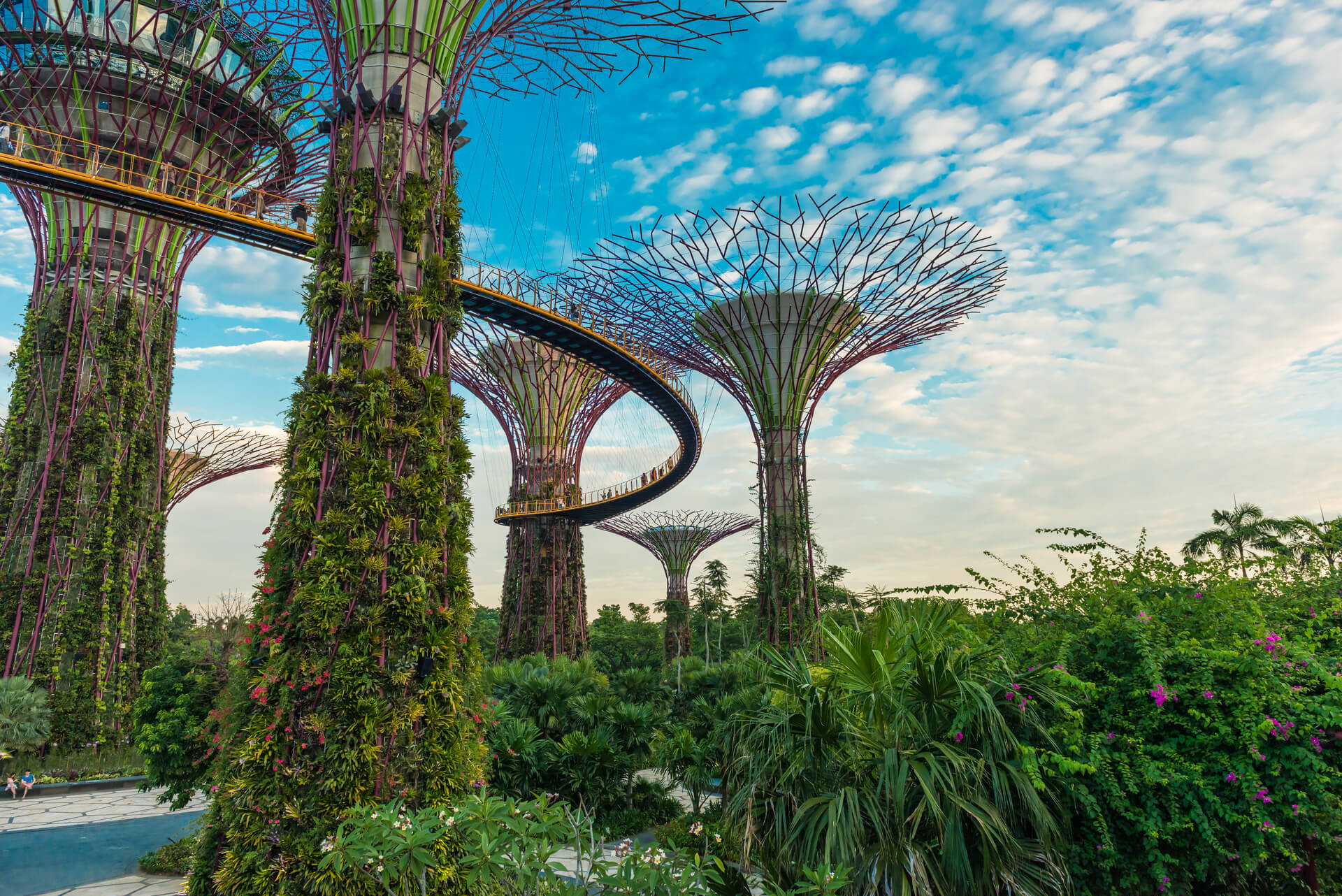 Kết Nối Singapore