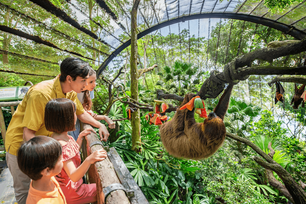 Mandai Singapore Zoo