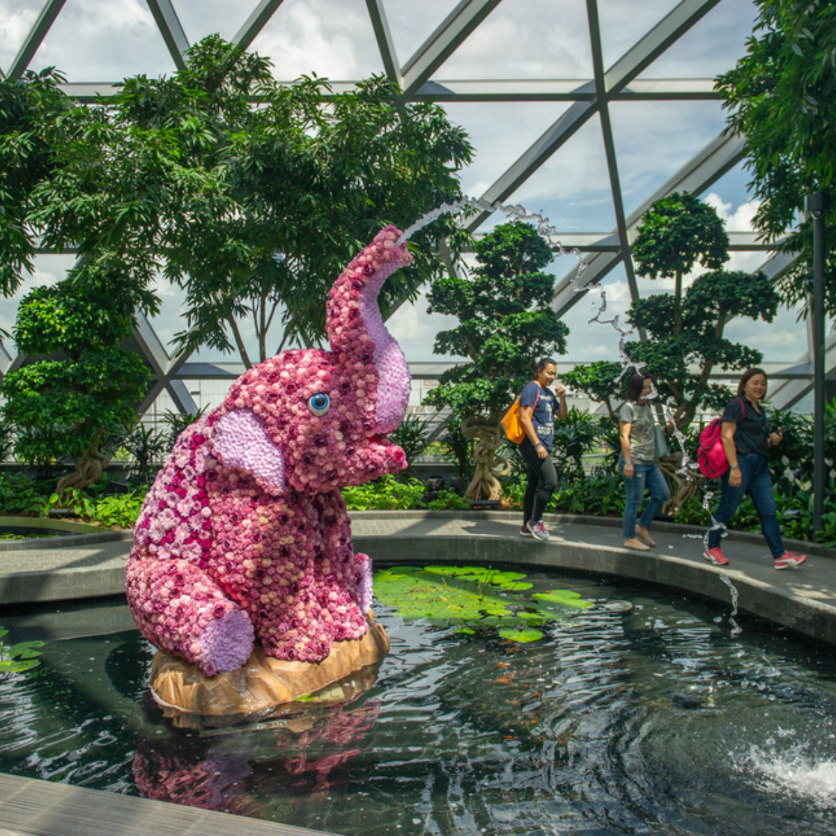 Hoạt động 6